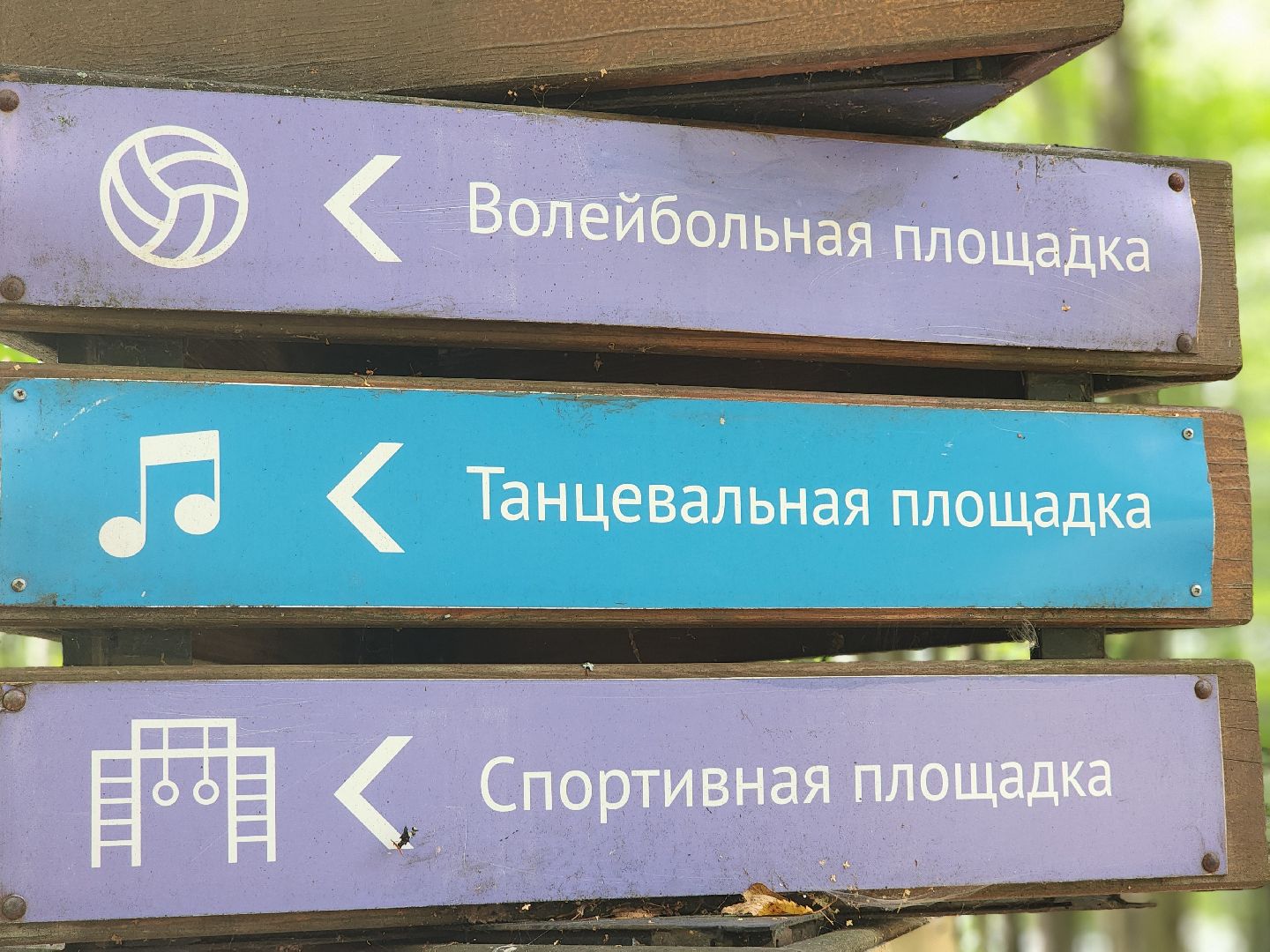 сергиев посад, парк скитские пруды, день физкультурника, волейбол, метание ножа, сергиево-посадский городской округ,