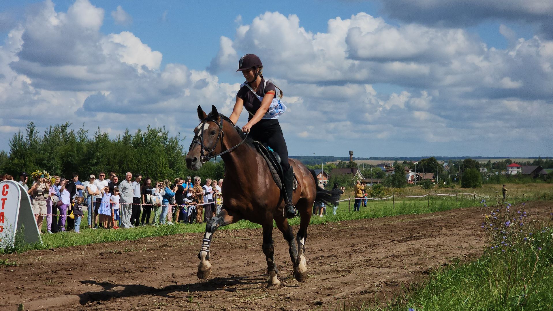 Зарайск, День города Зарайска, Соревнования по конному спорту,  Кубок главы по конному спорту,