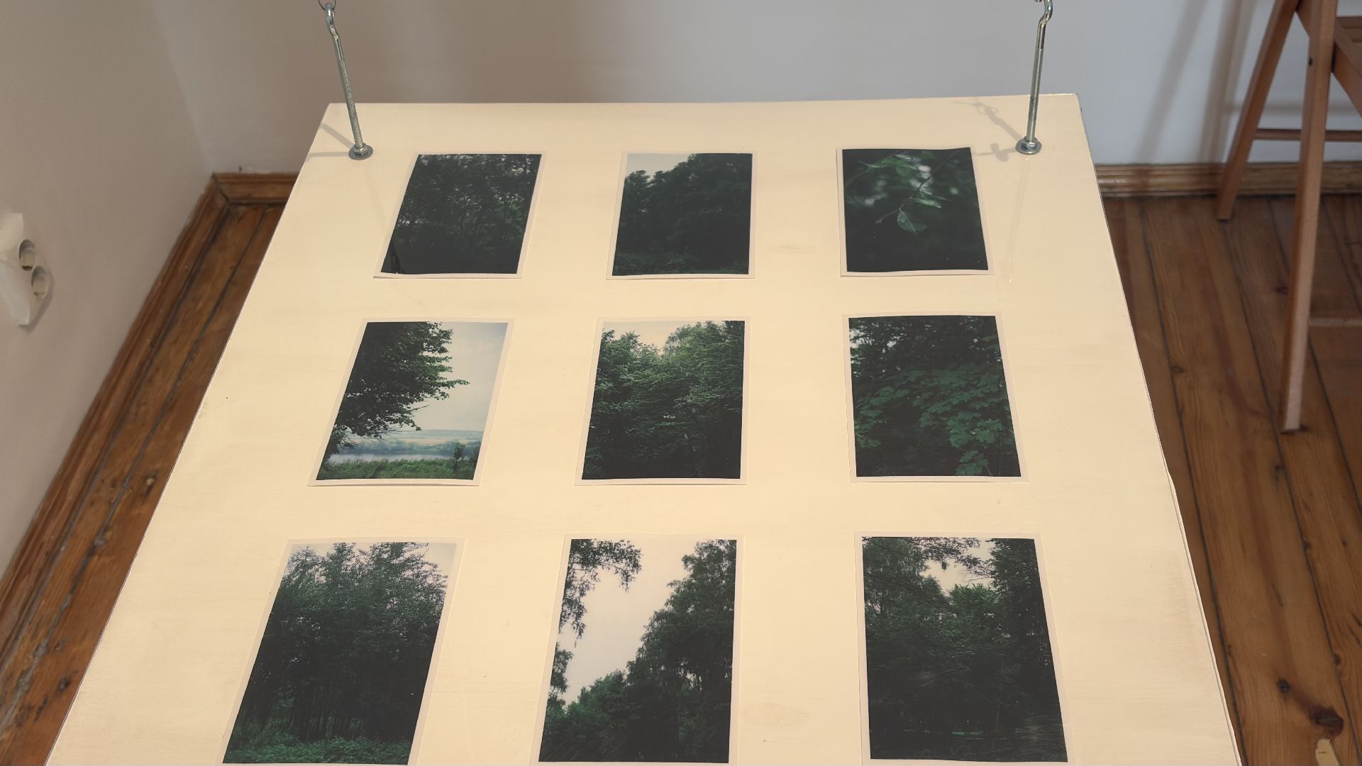 коломна, выставка, звук,