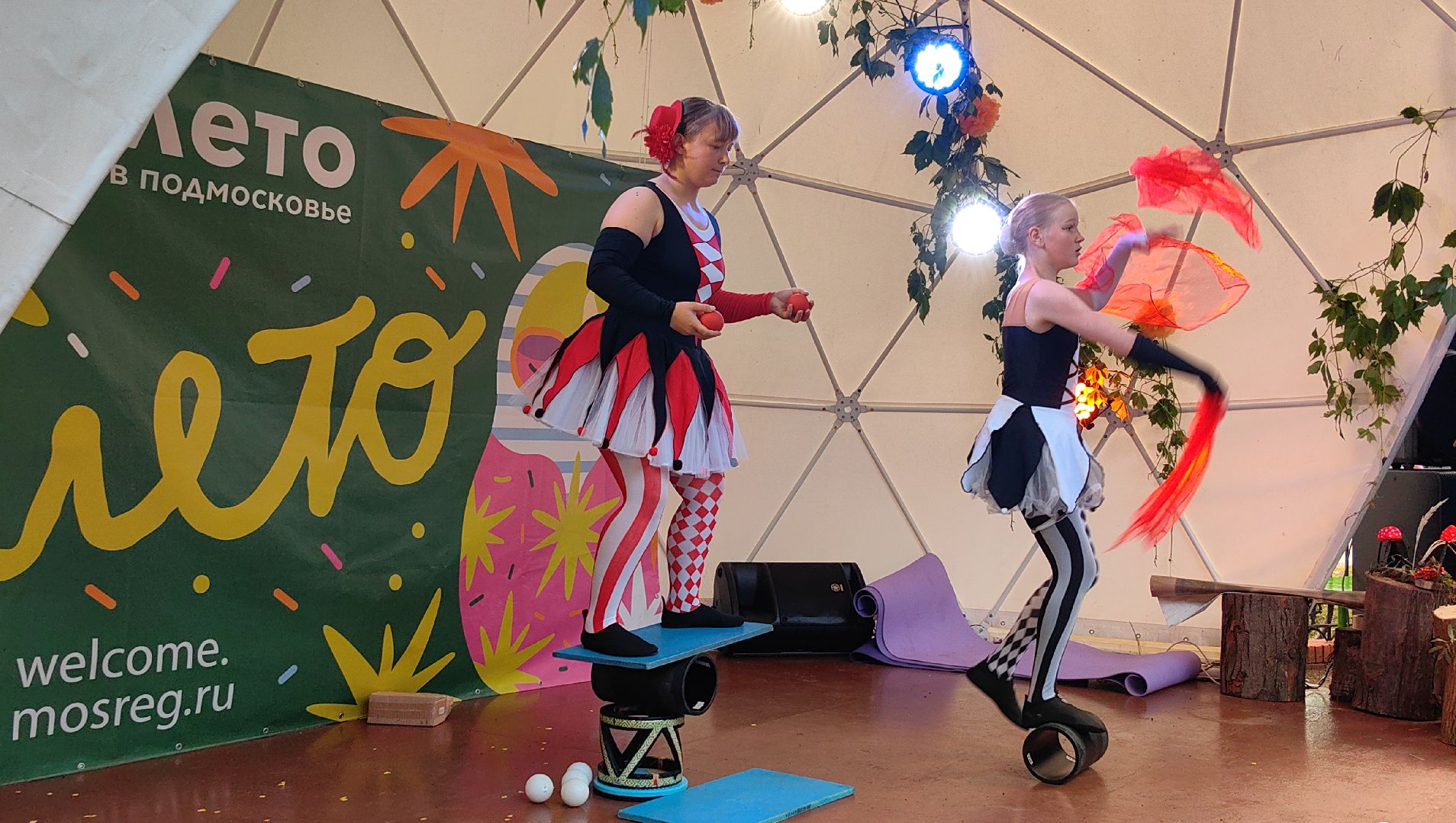 день округа, концерт, мастер-класс, пони, попкорн,