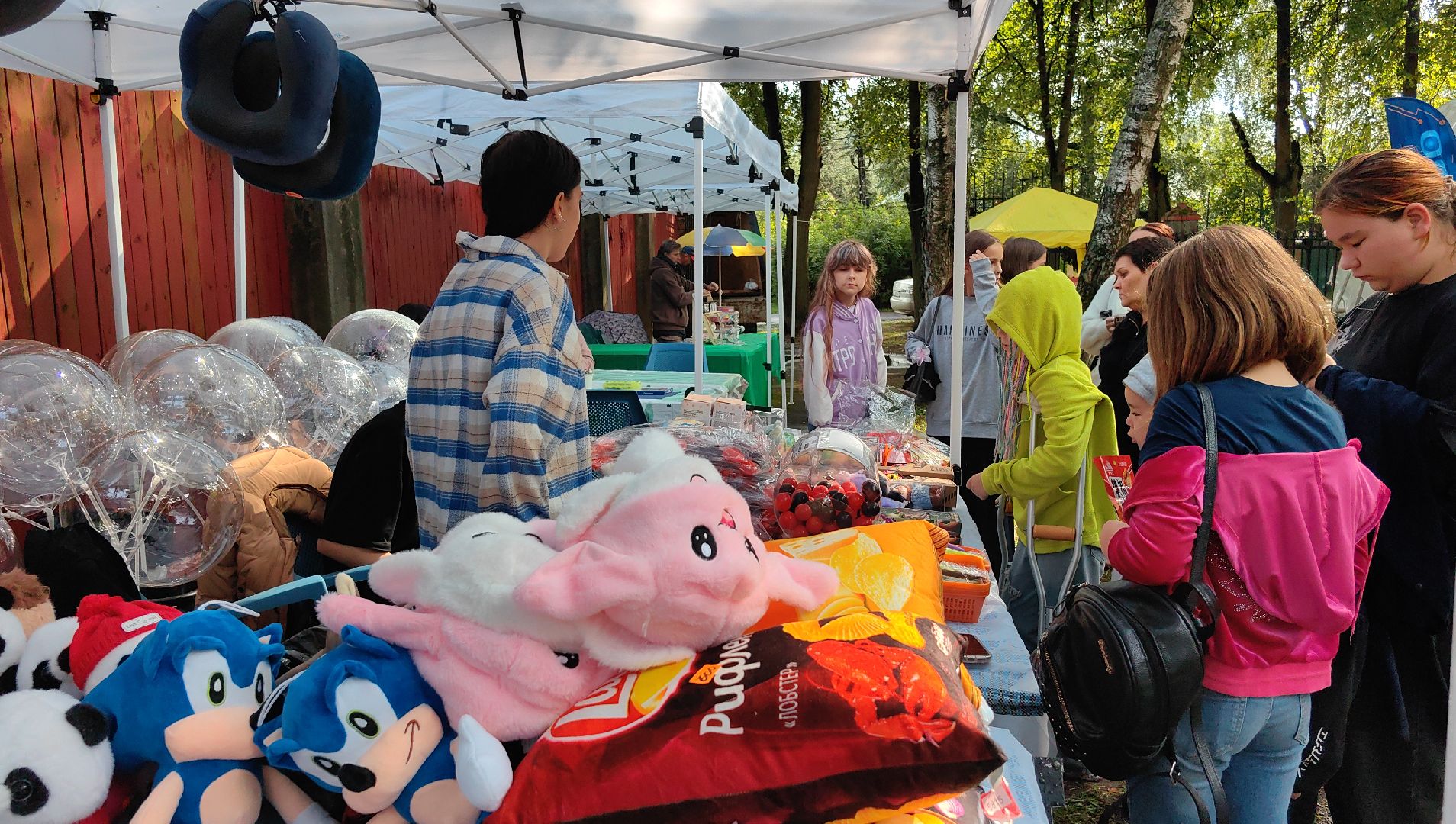 день округа, концерт, мастер-класс, пони, попкорн,