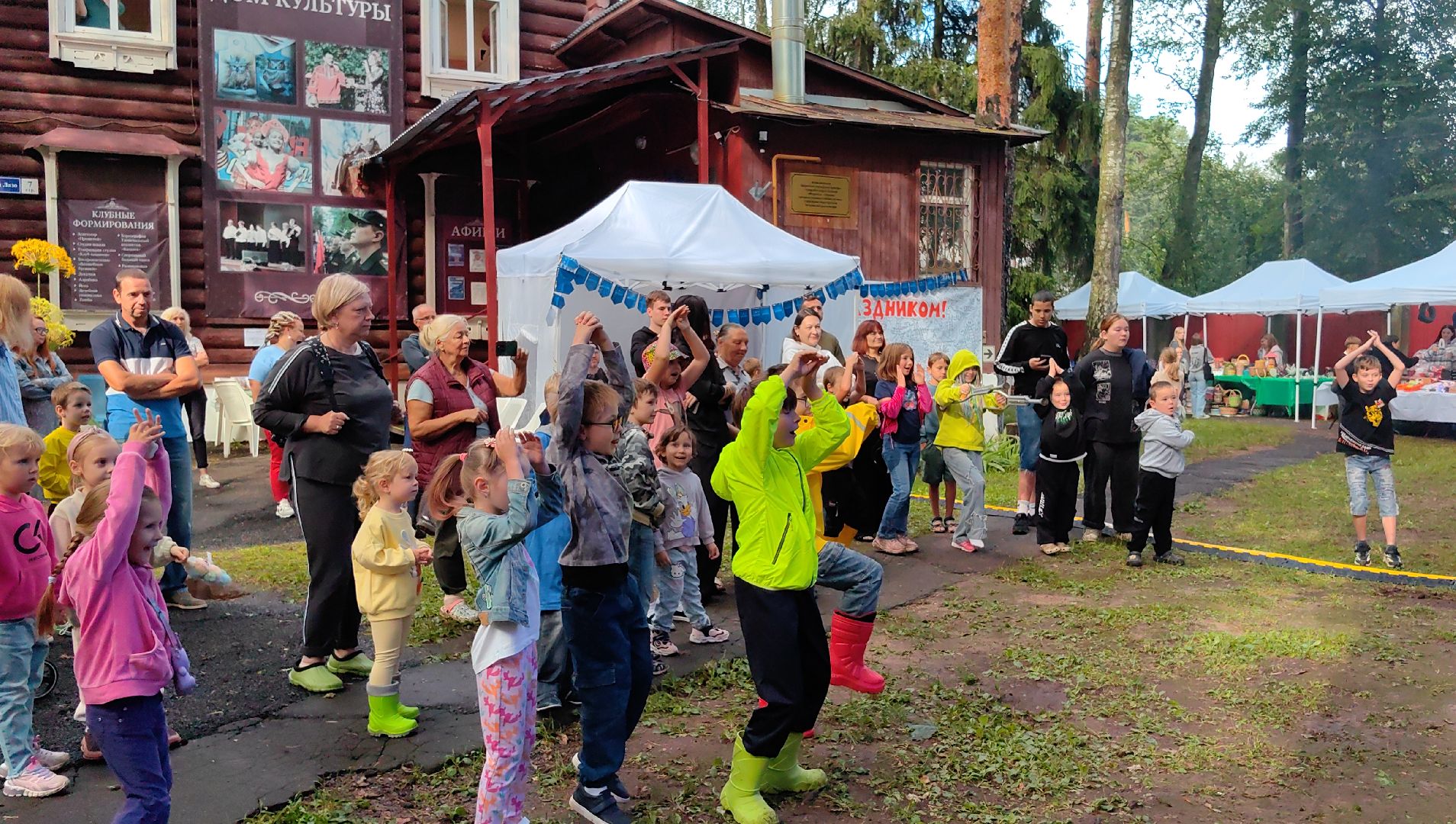 день округа, концерт, мастер-класс, пони, попкорн,