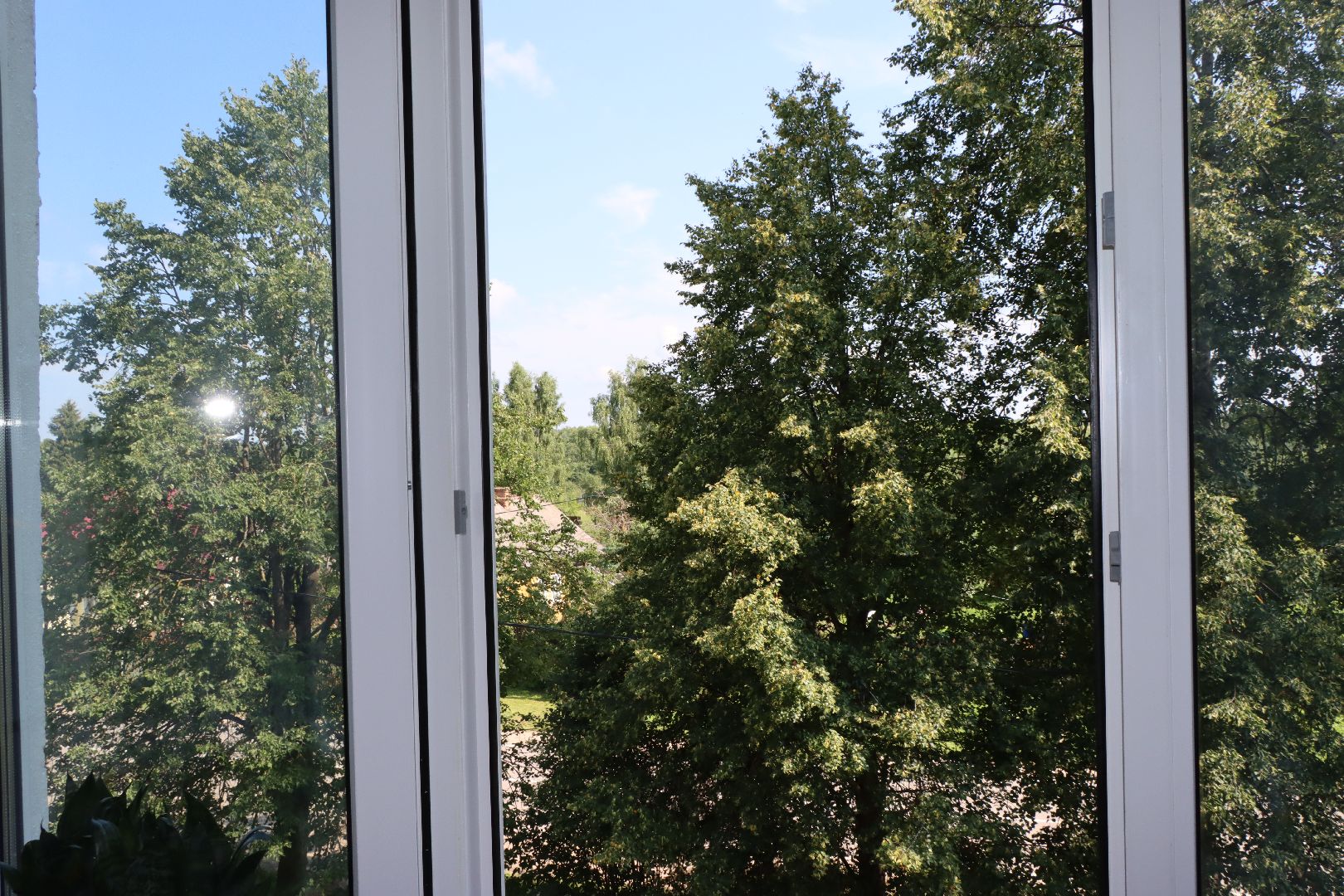 лотошино, администрация, муниципальное жилье, договор соцнайма,