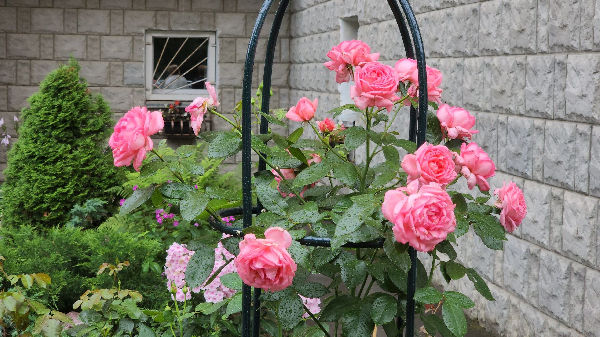 красногорск, лучший двор, конкурс,