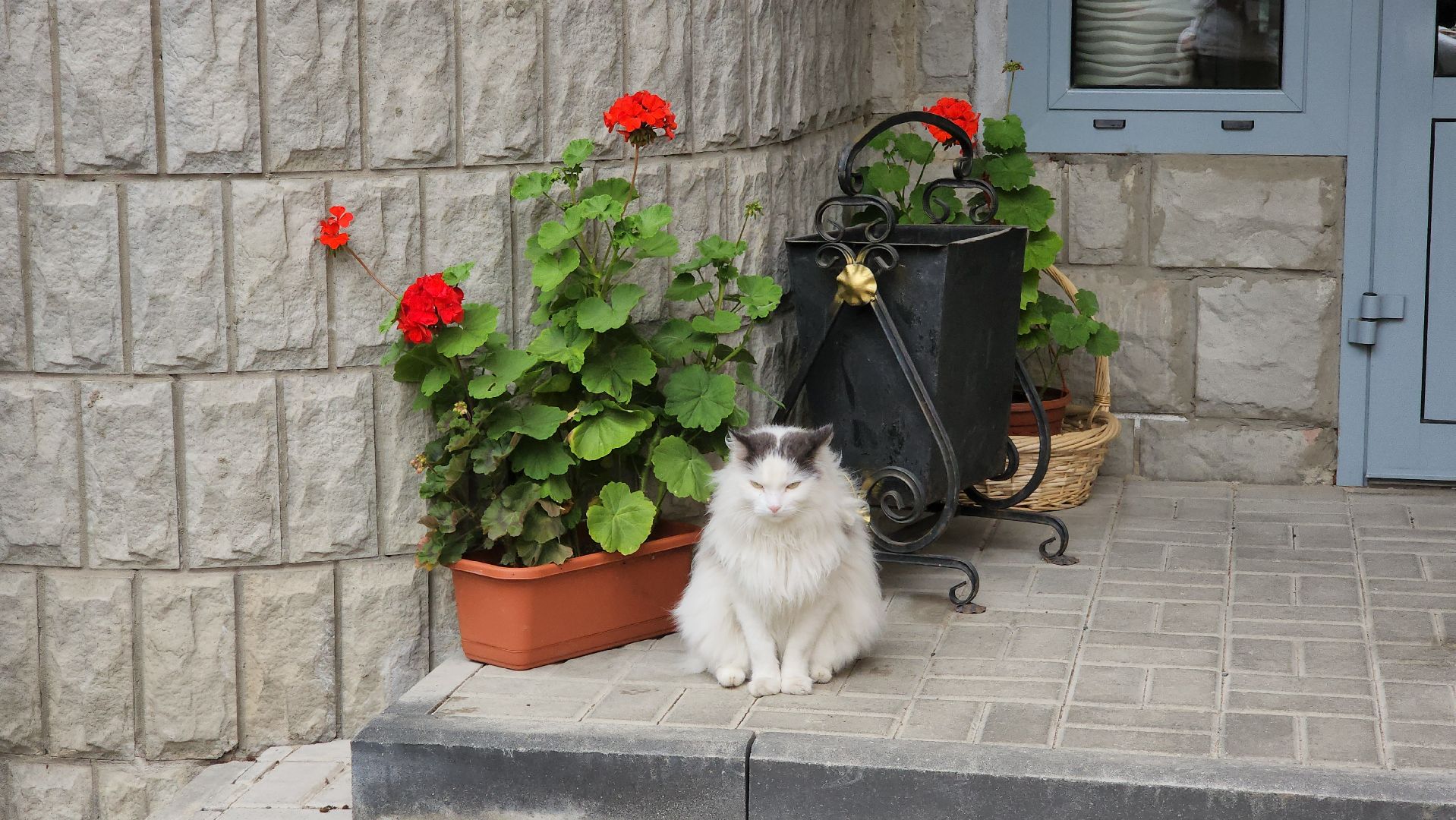 красногорск, лучший двор, конкурс,