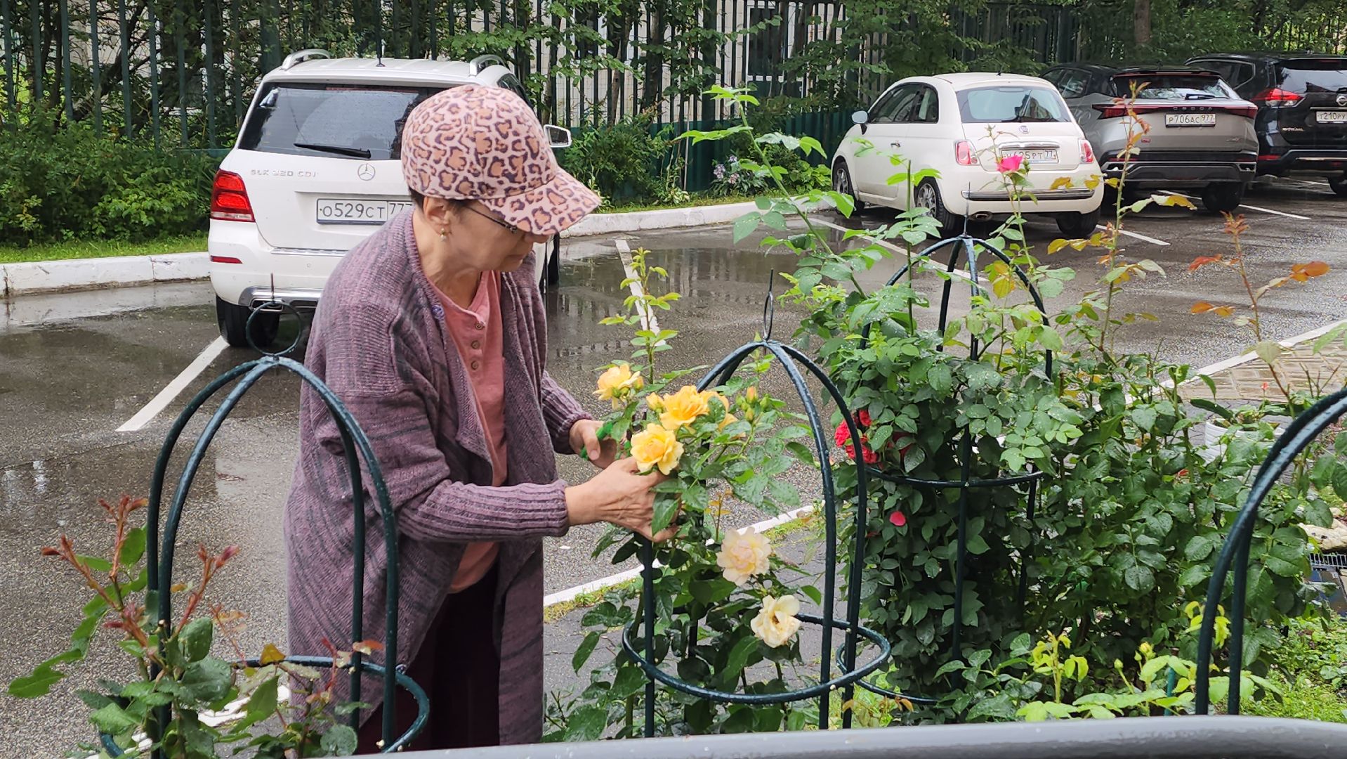 красногорск, лучший двор, конкурс,