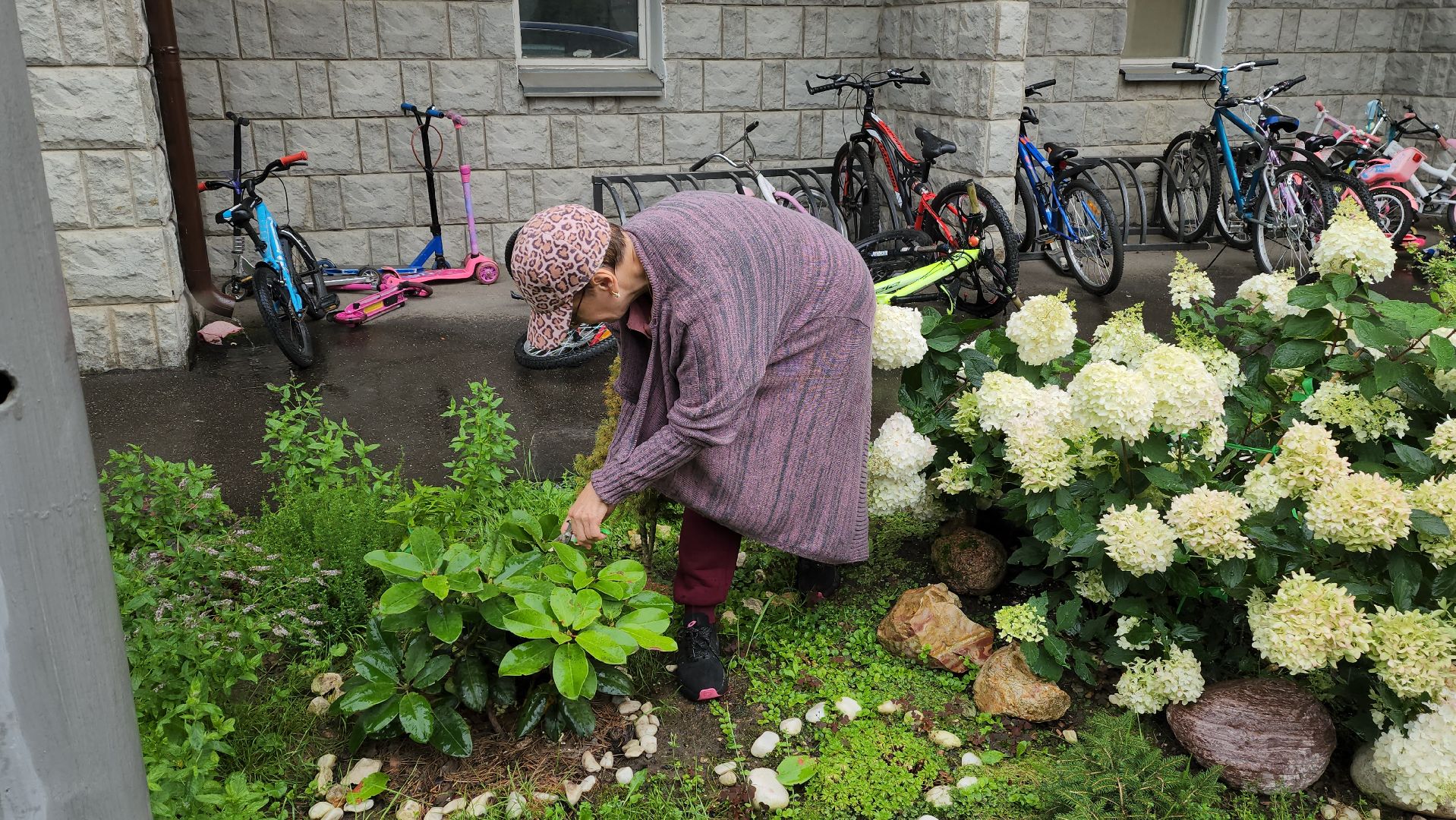 красногорск, лучший двор, конкурс,