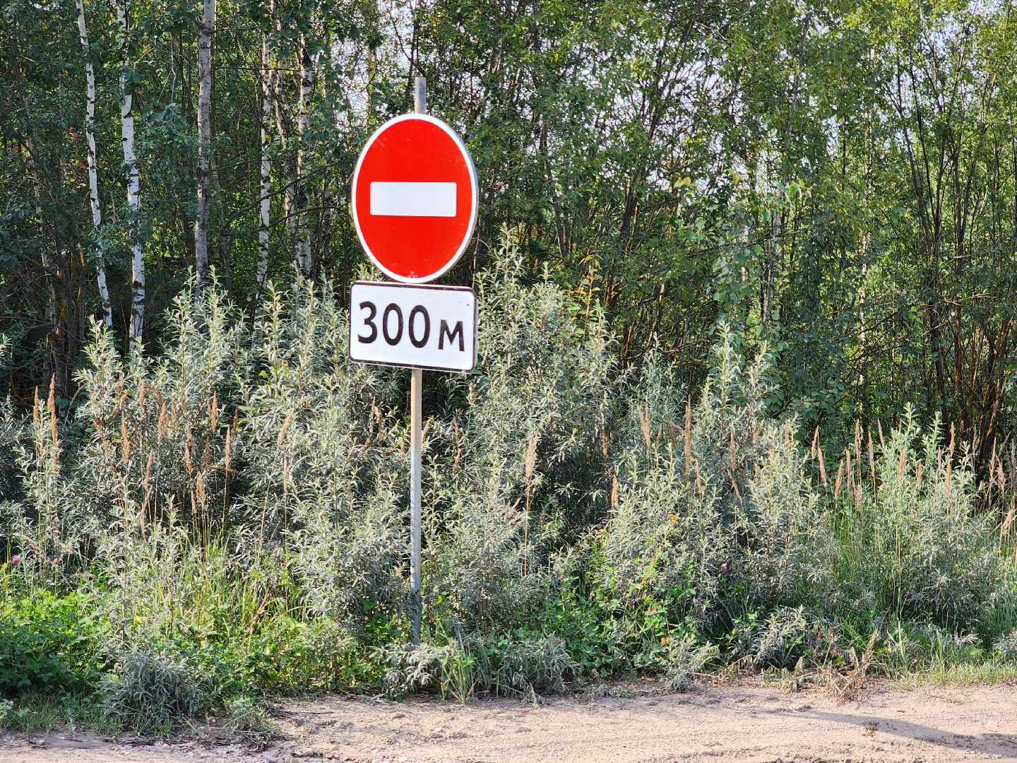 сергиево-посадский городской округ, сергиев посад, краснозаводск, богородское, ремонт автомобильных дорог,