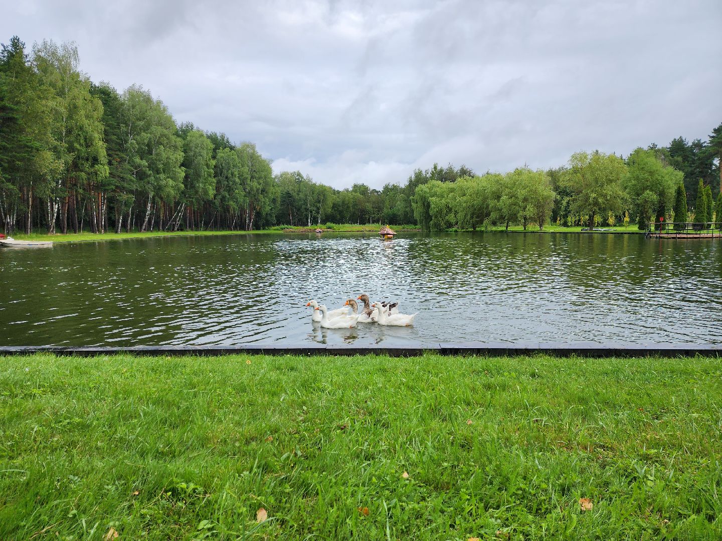 раменское, наука, сельское хозяйство, всероссийский центр карантина растений в раменском округе,  новые феромоны для насекомых-вредителей,