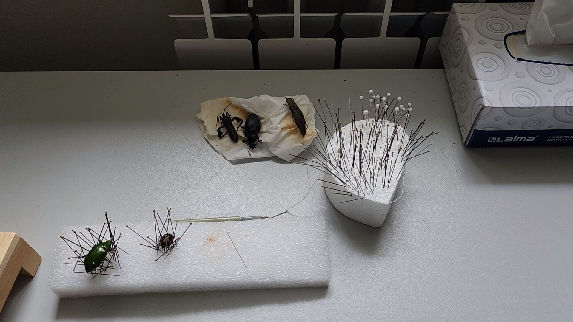 раменское, наука, сельское хозяйство, всероссийский центр карантина растений в раменском округе,  новые феромоны для насекомых-вредителей,