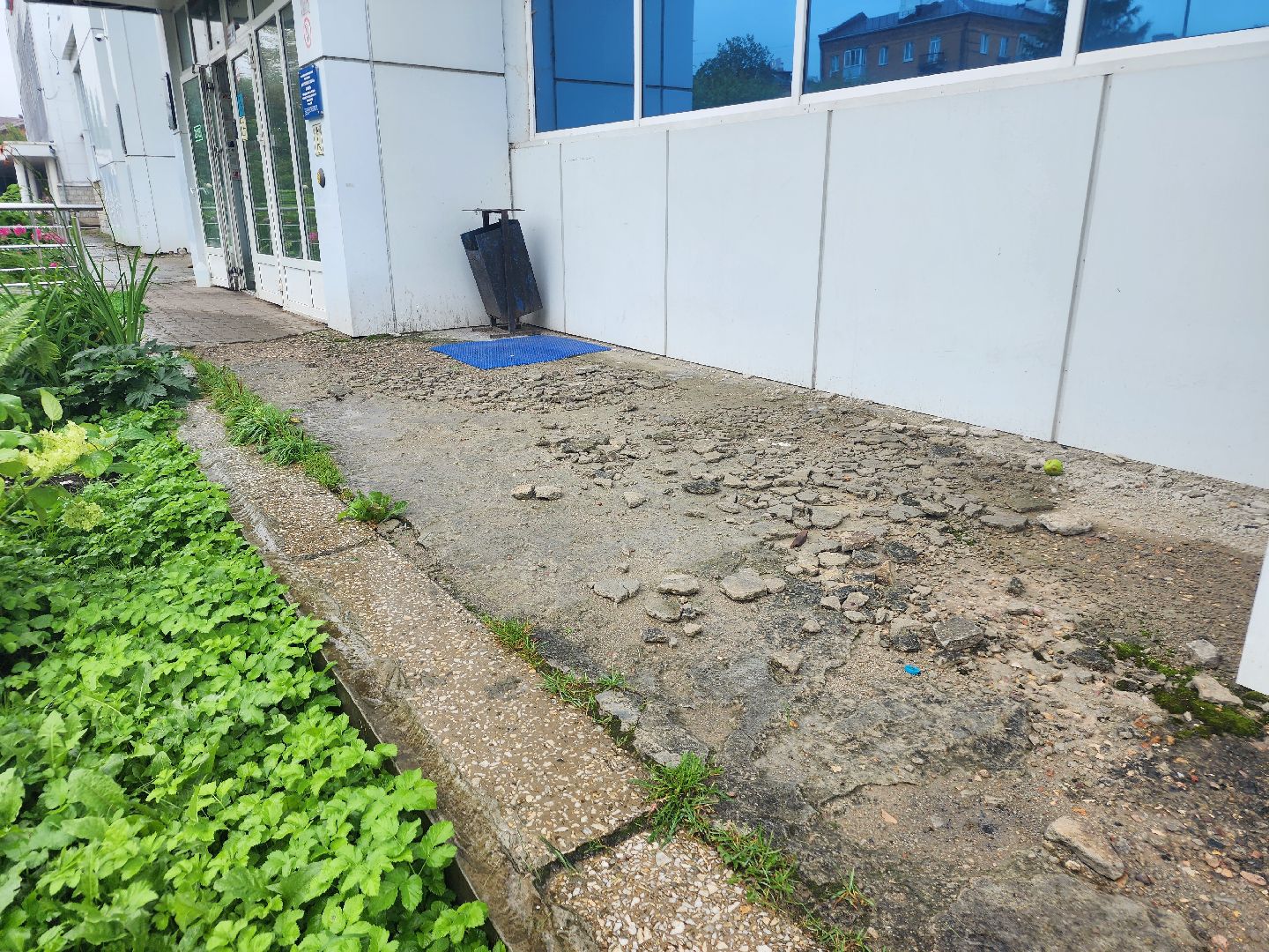 фрязино, благоустройство, ремонт входной группы, спортивный комплекс,