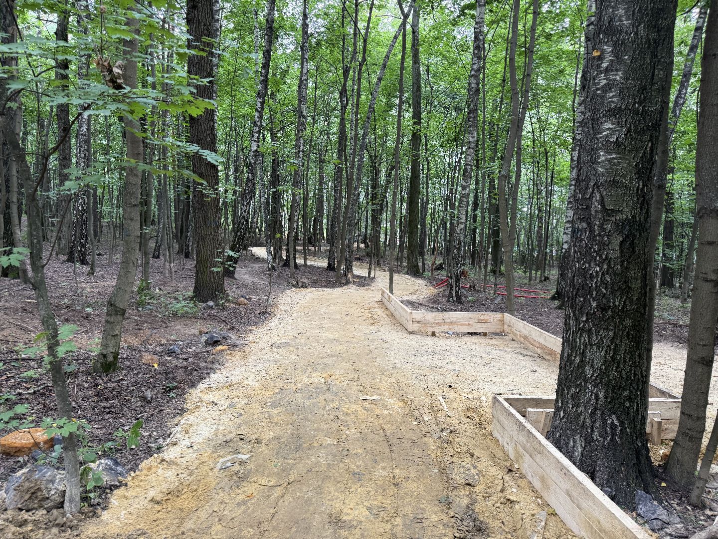 люберцы, томилинский лесопарк, Благоустройство ,