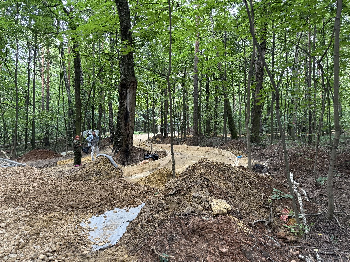 люберцы, томилинский лесопарк, Благоустройство ,