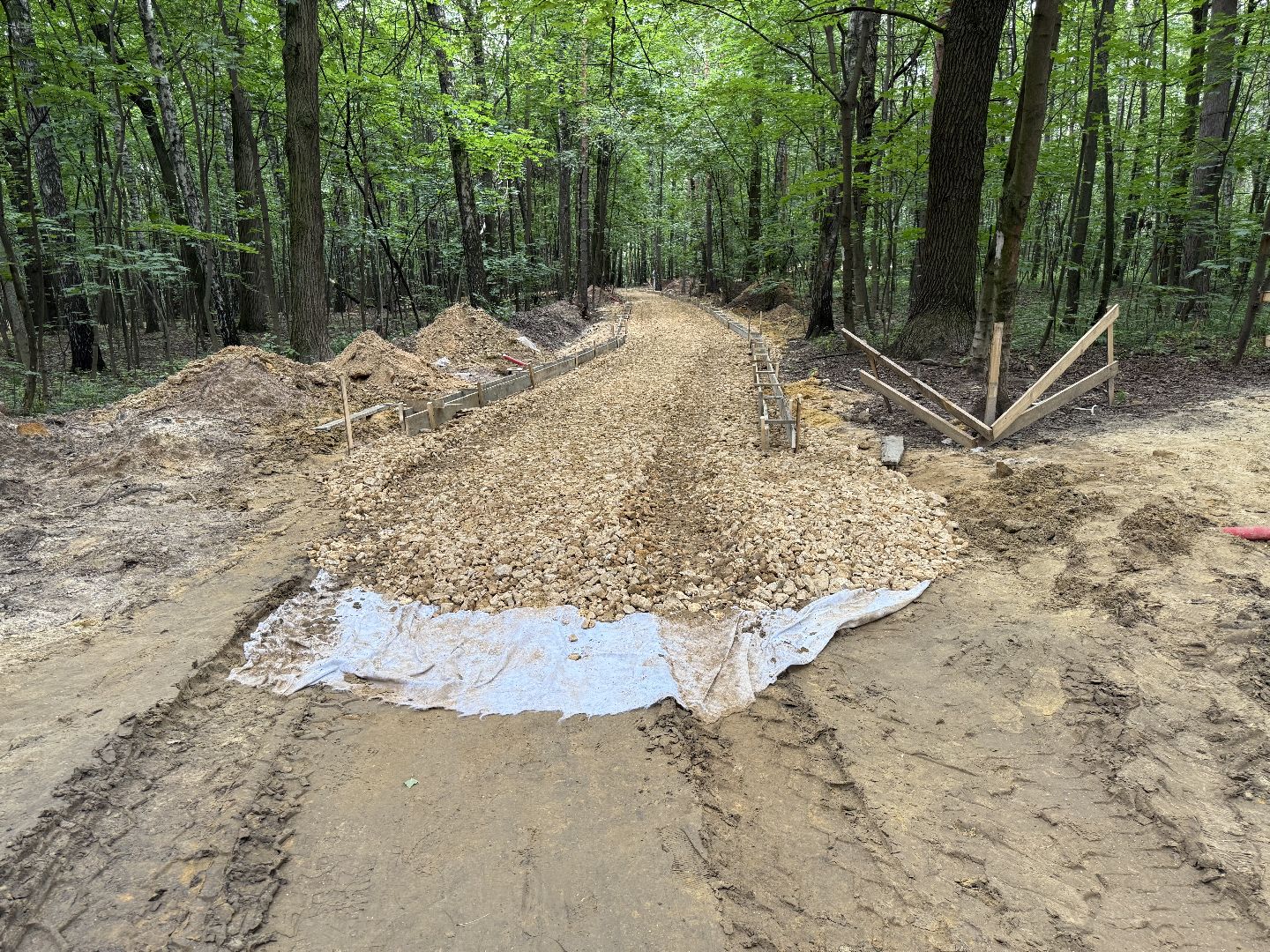 люберцы, томилинский лесопарк, Благоустройство ,