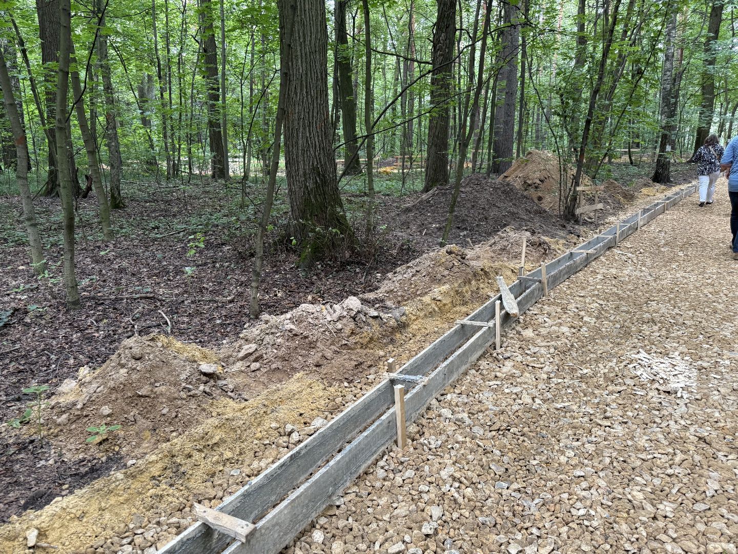 люберцы, томилинский лесопарк, Благоустройство ,