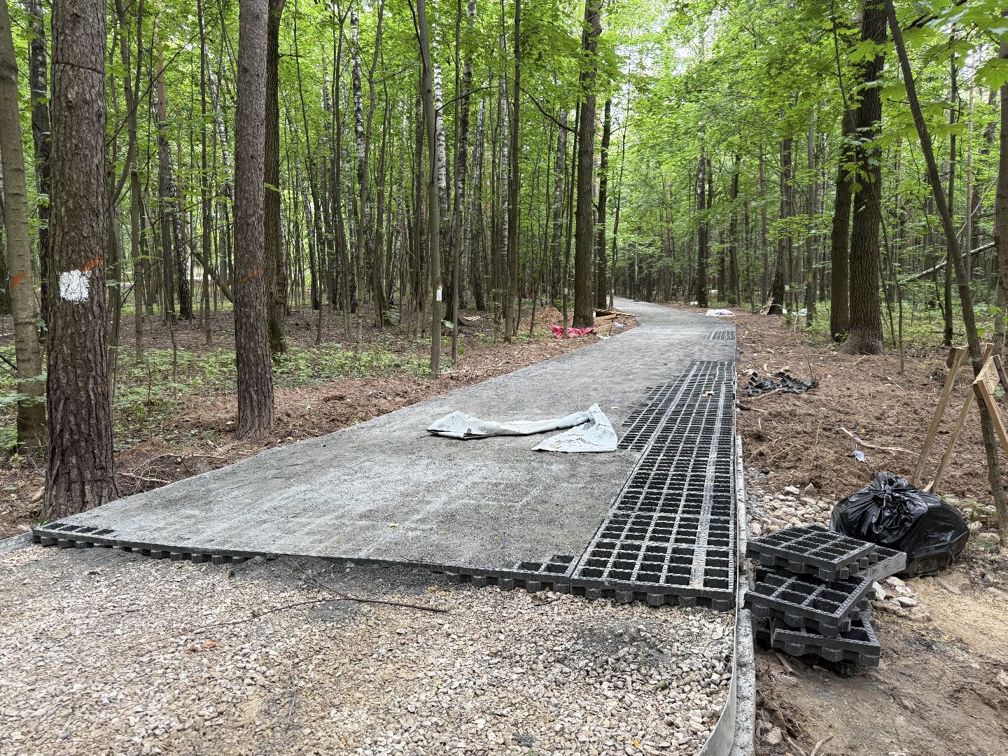 люберцы, томилинский лесопарк, Благоустройство ,