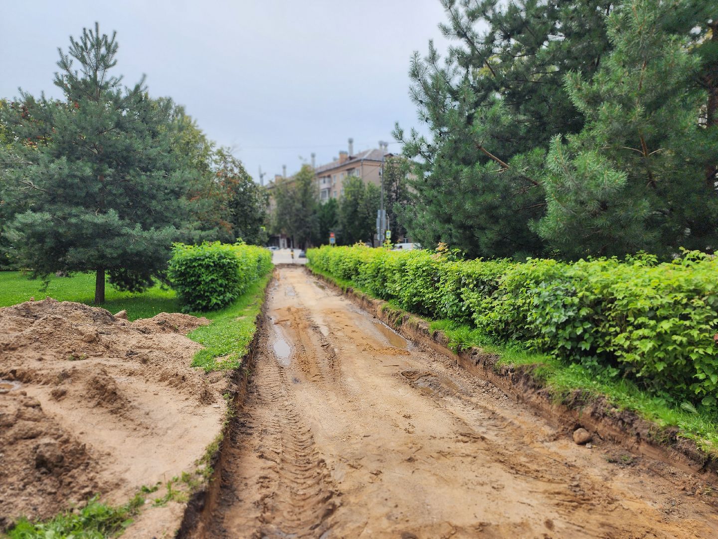королёв, благоустройство , сквер имени чмырева,