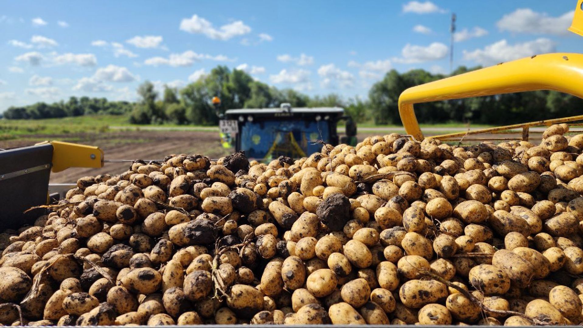 Луховицкие аграрии, сельское хозяйство,