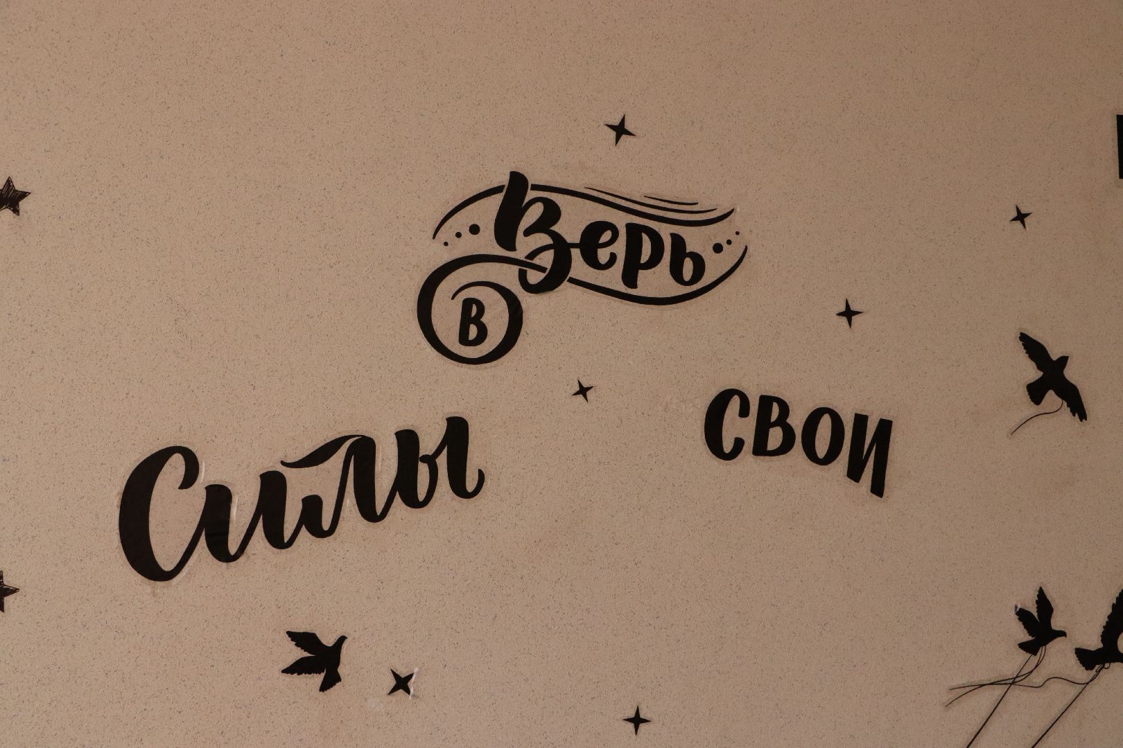 школа-флагман, серебряные пруды, школа чуйкова, образование,