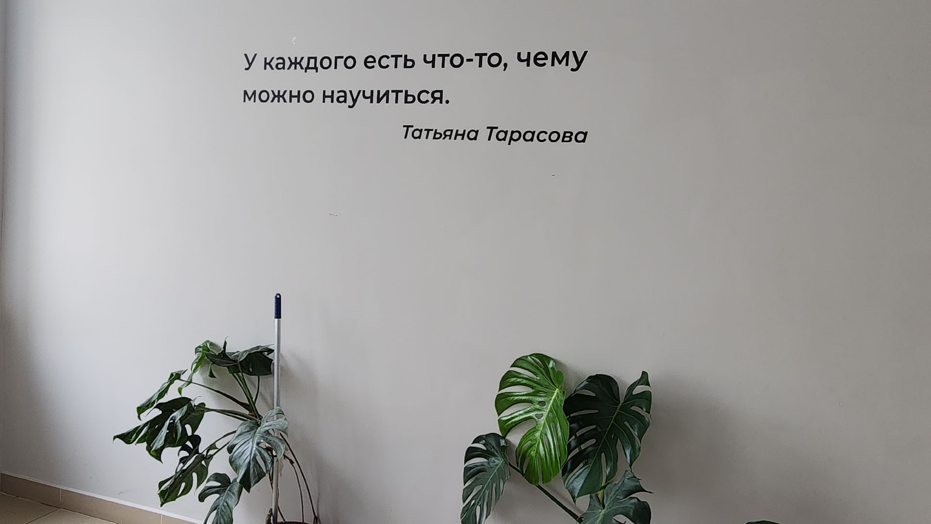 волоколамск, чисмена, подготовка к 1 сентября,