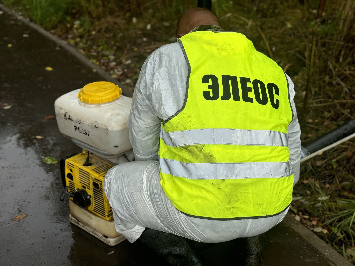 борщевик сосновского,  обработка от борщевика, ленинский городской округ, гербицидная обработка,