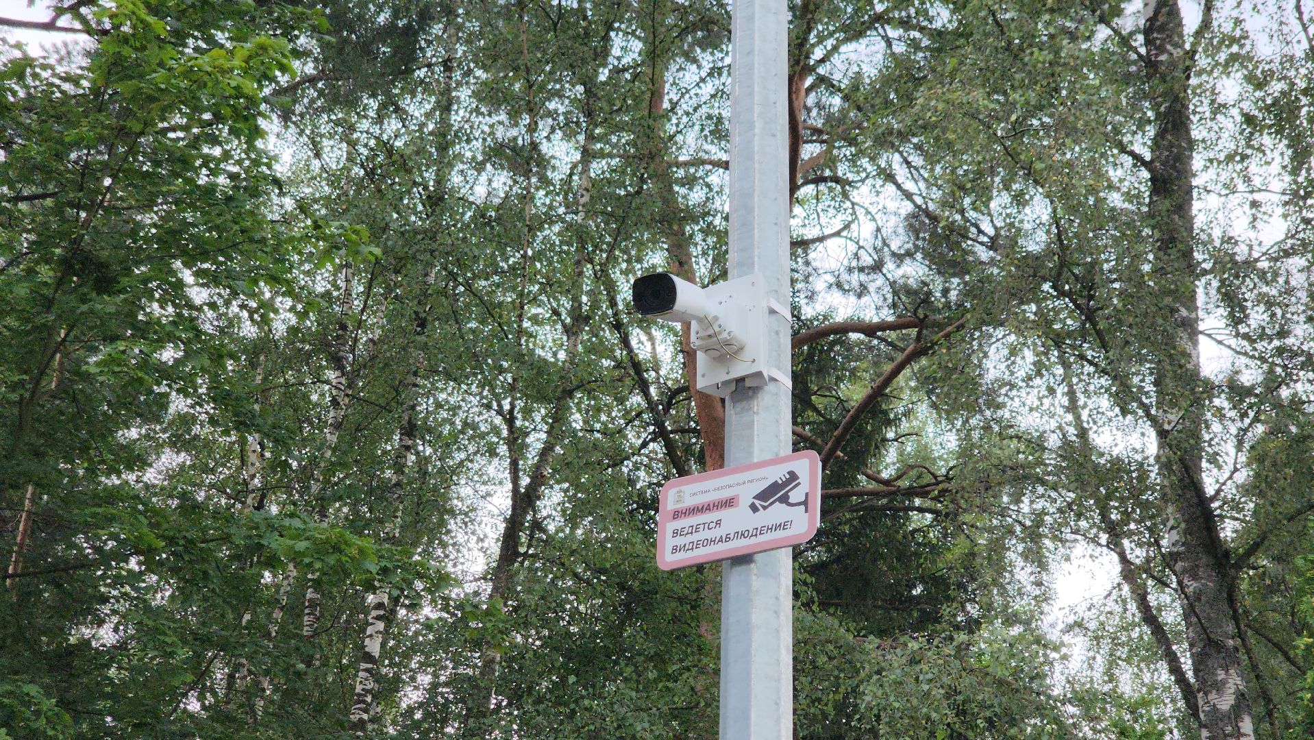 ремонт школы, Сборка мебели, серково, щёлково,