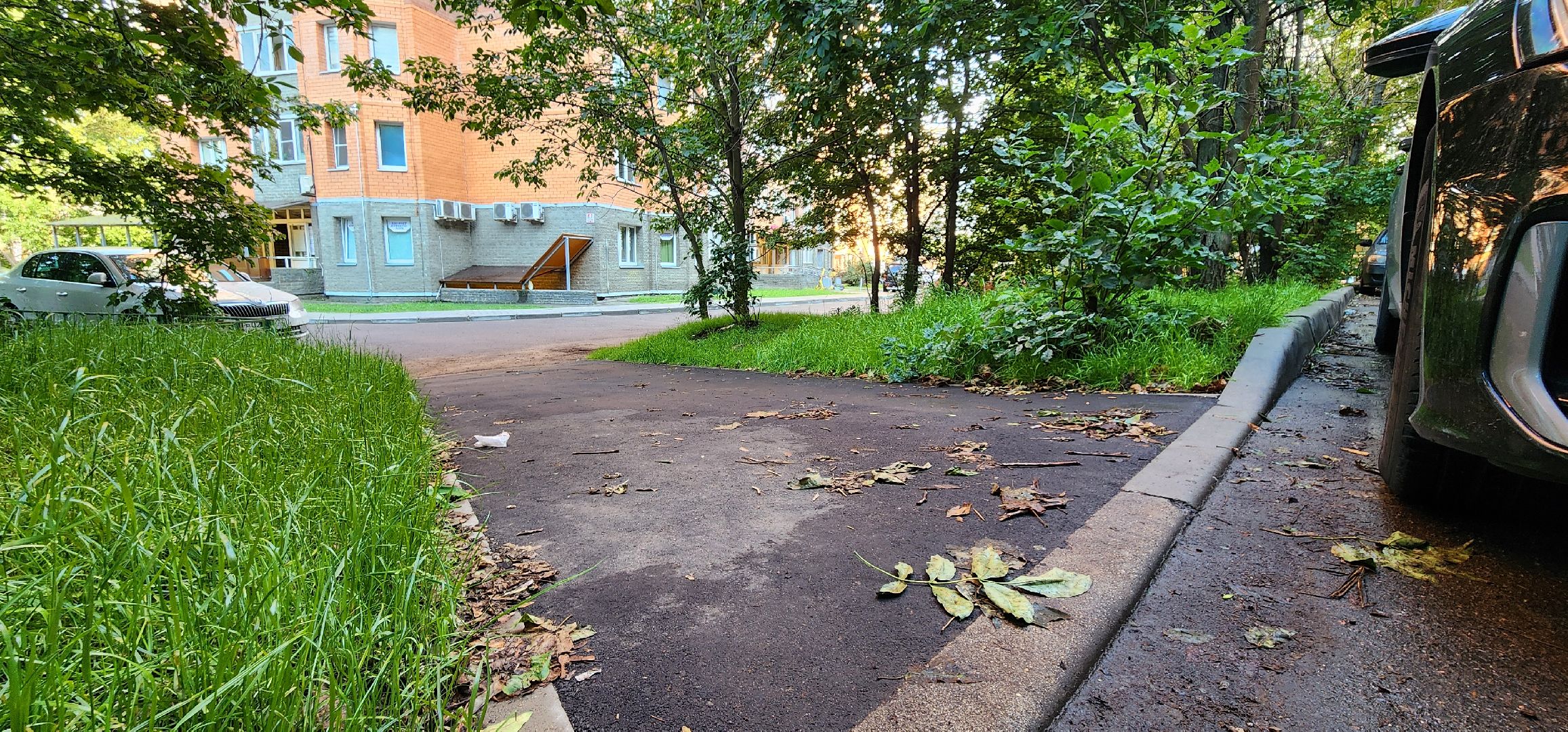 Химки, Благоустройство , Дороги,