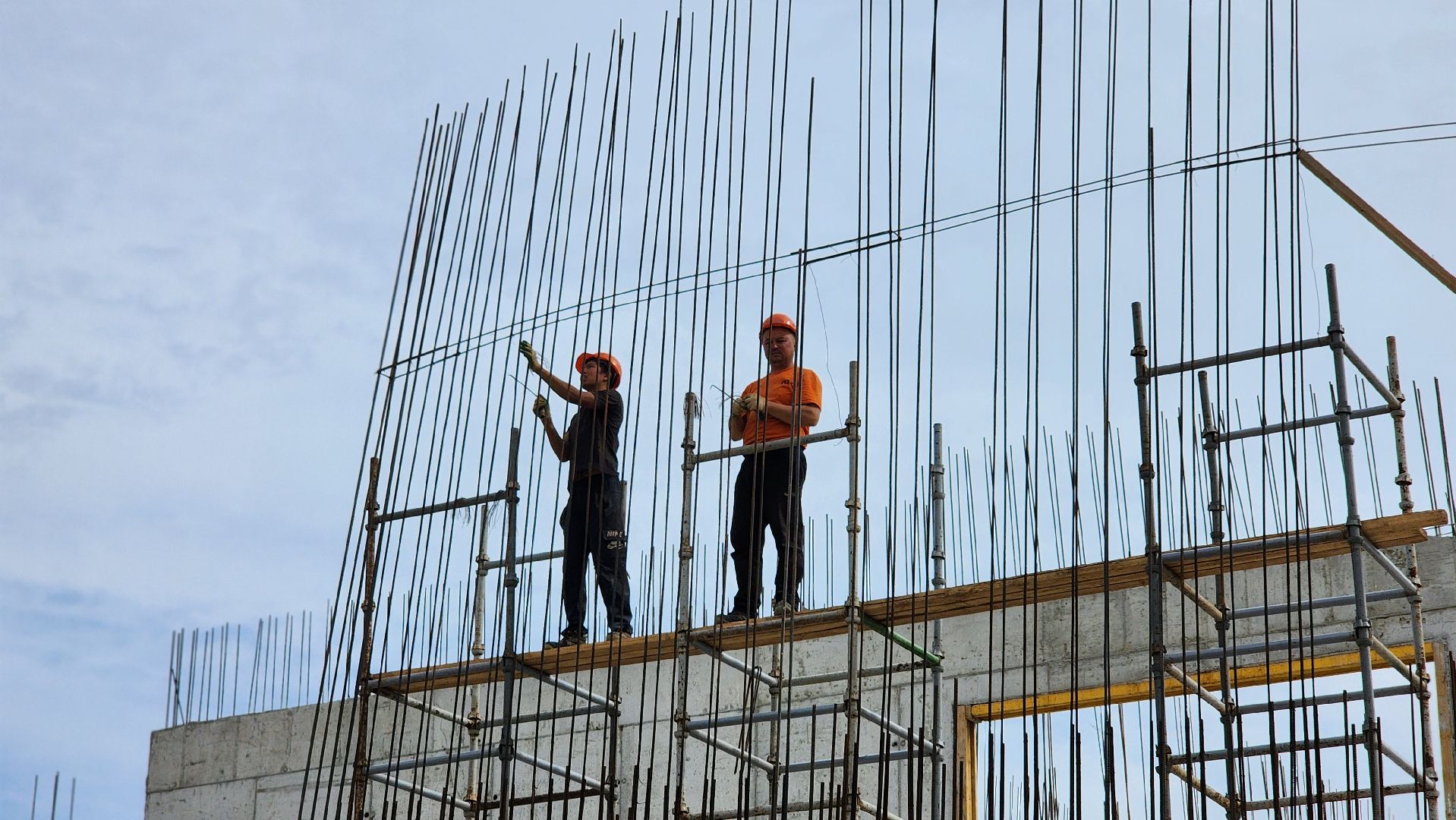 строительство, школа, образование, лосино-петровский,