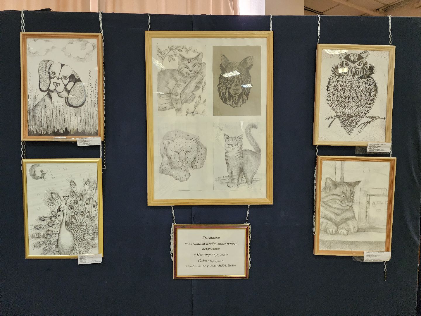 электроугли, жители, культура, общество, ремонт,