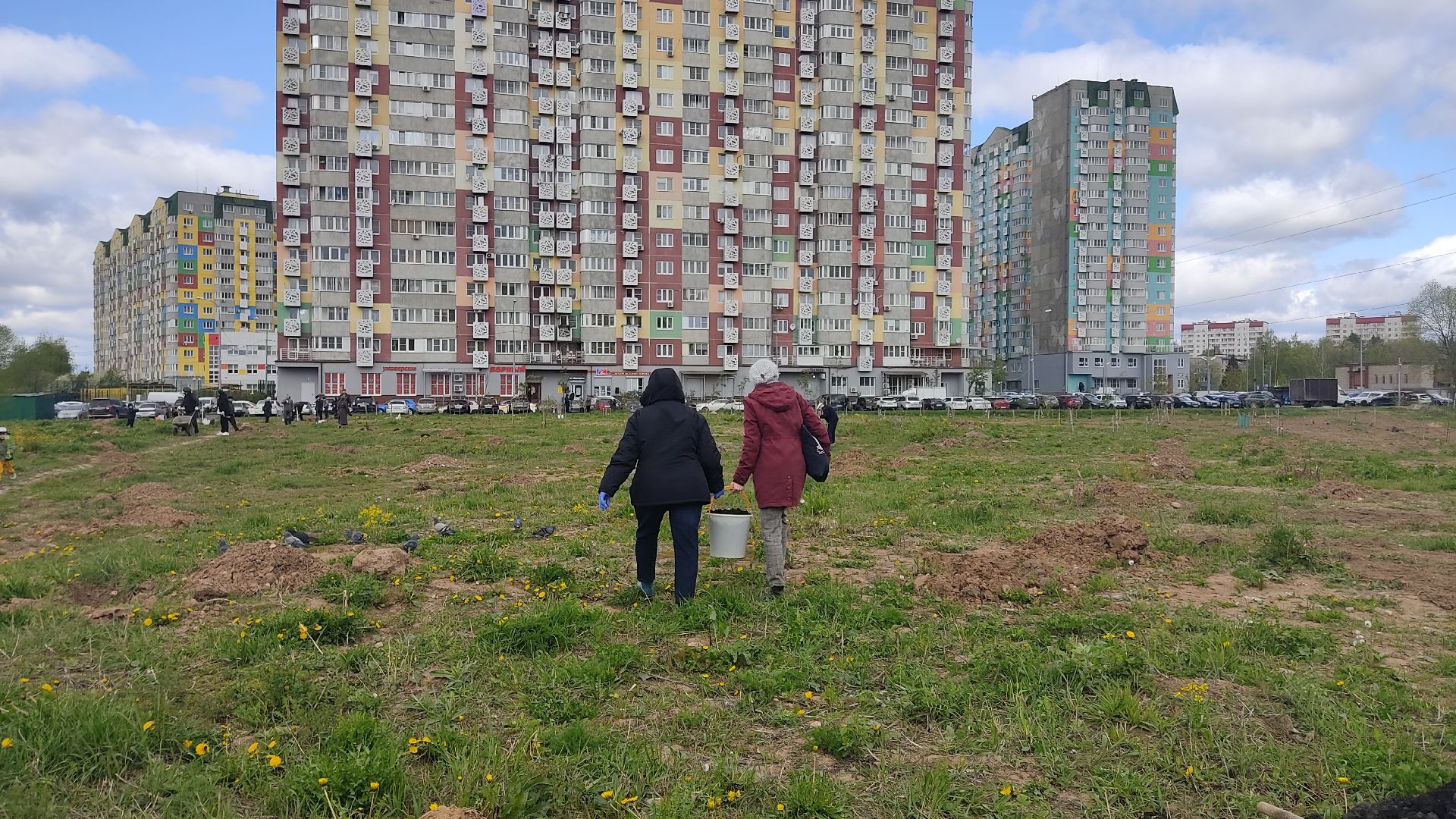 Лобня, благоустройство, дерево