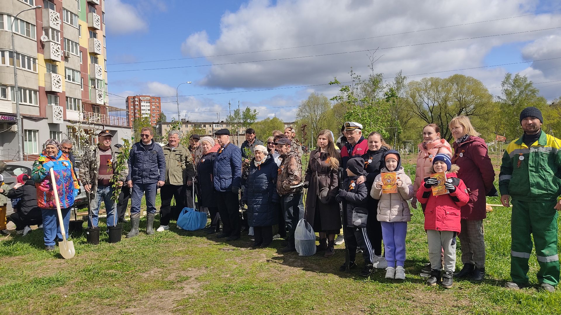 Лобня, благоустройство, дерево