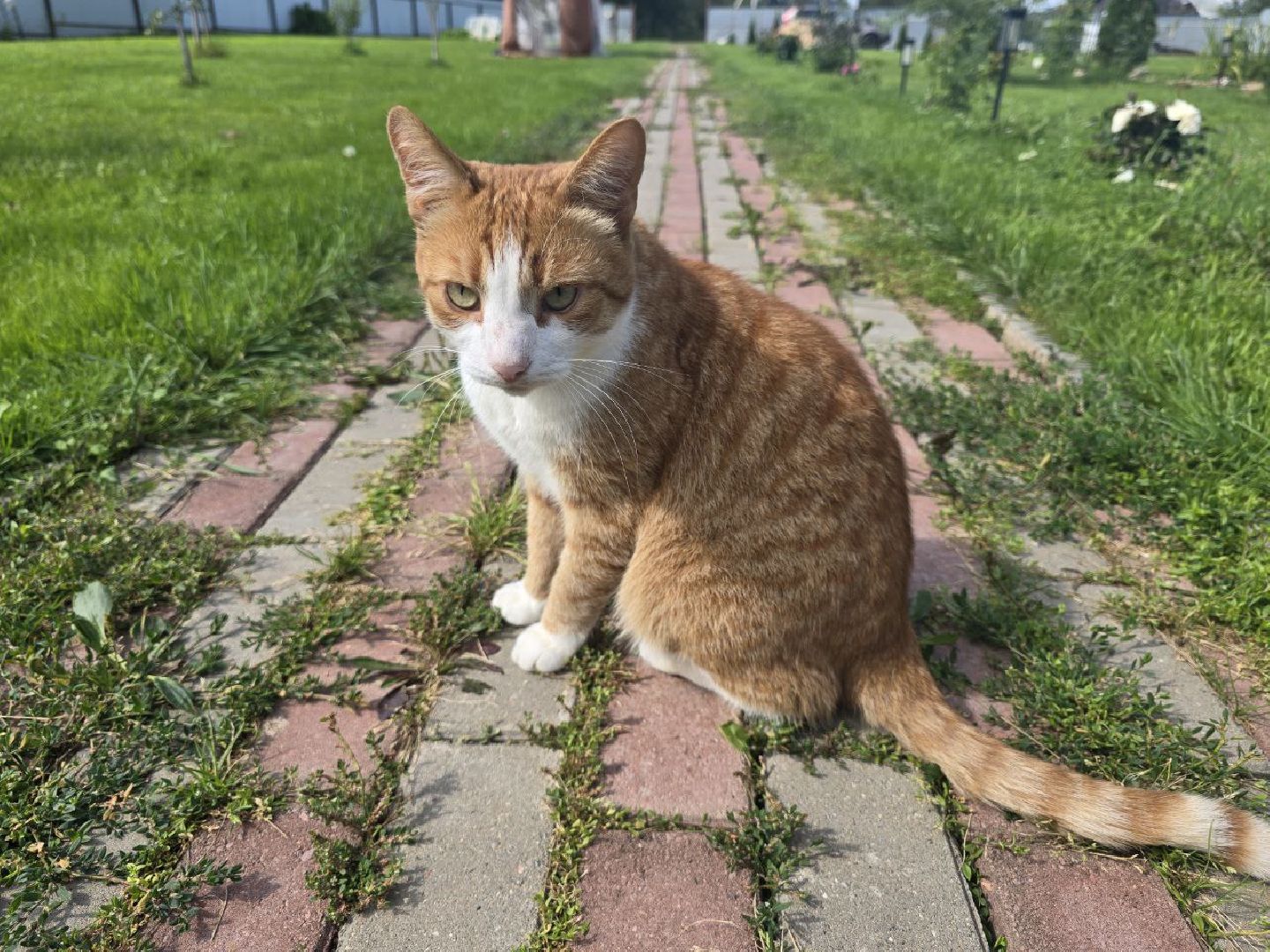 можайск, можайский муниципальный округ, подмосковье, добровольцы, волонтеры, помощь нуждающимся, доброе дело,