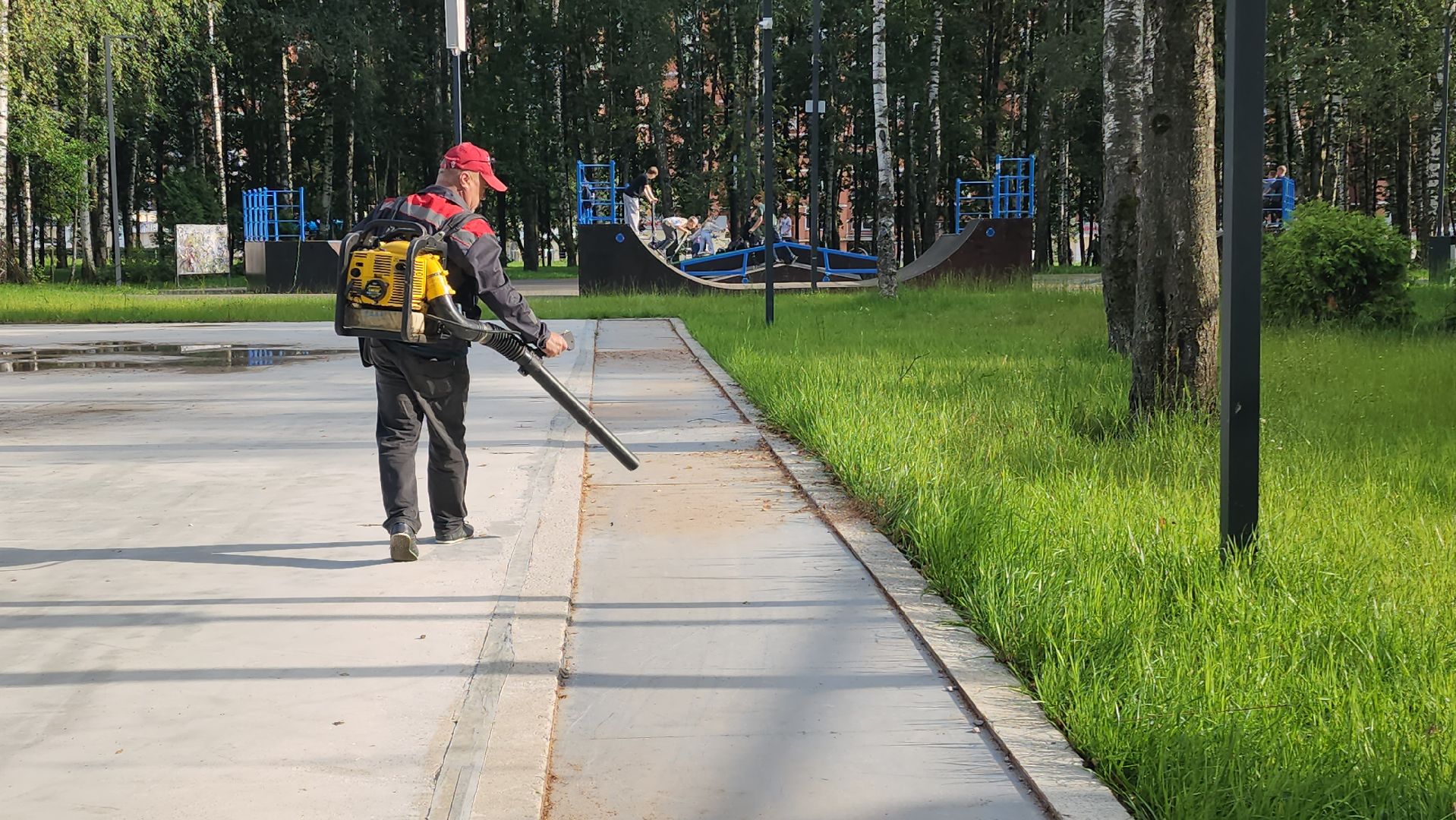 Покос травы, Благоустройство газонов, уборка листвы, Лобня, Парк,