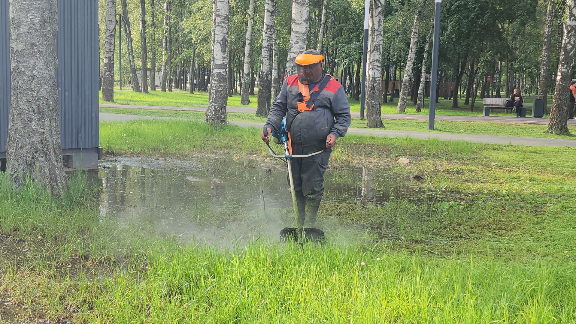 Покос травы, Благоустройство газонов, уборка листвы, Лобня, Парк,