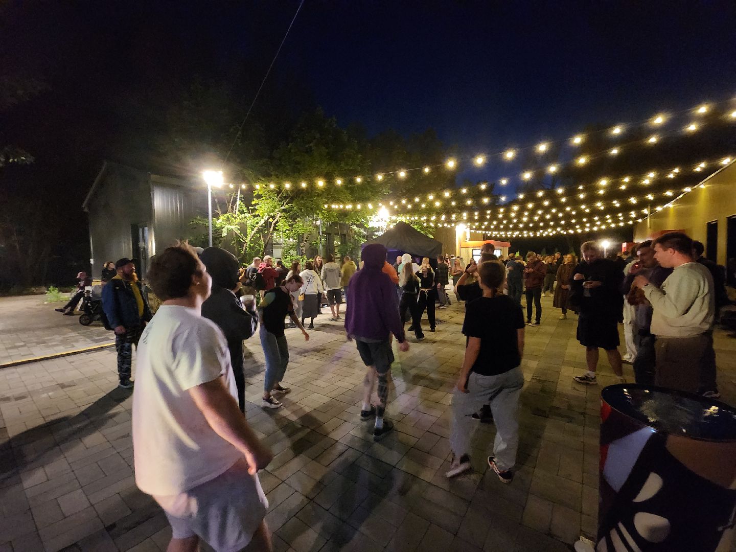 Черноголовка, Фестиваль, электронная музыка,