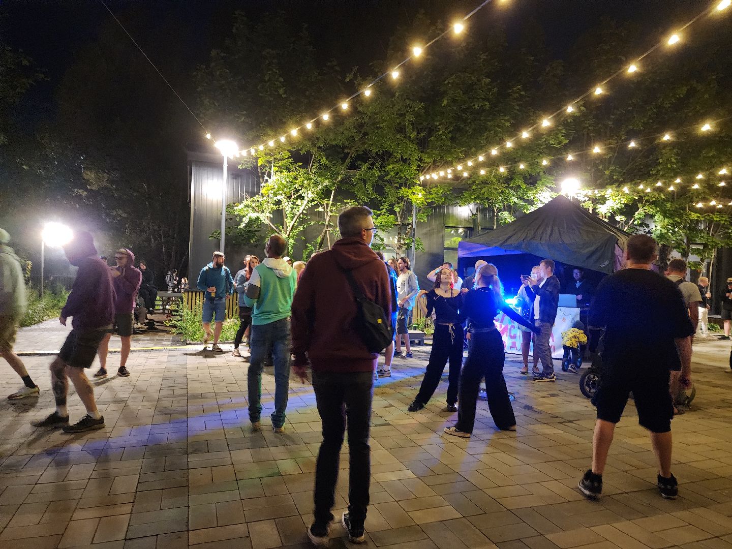 Черноголовка, Фестиваль, электронная музыка,