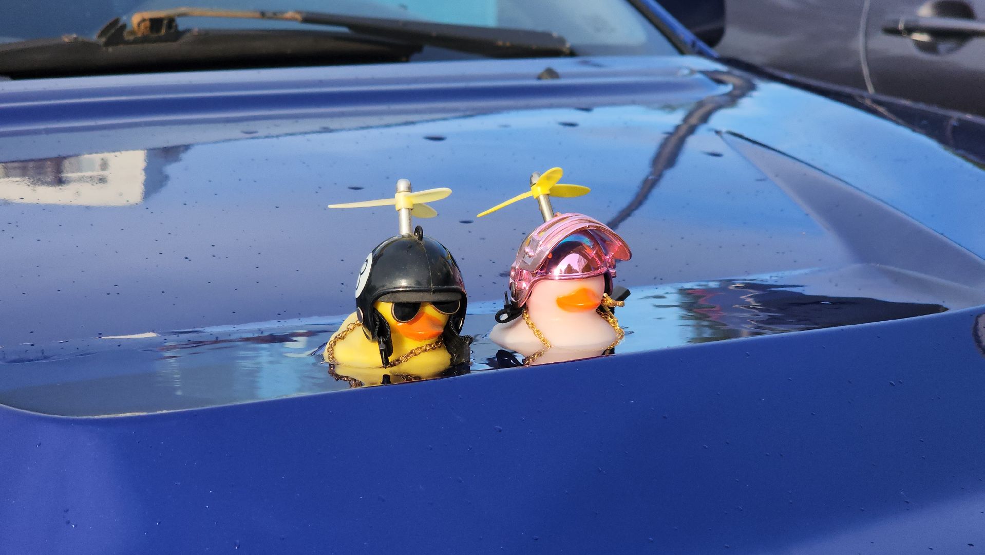 щёлково, тюнинг,  фестиваль тюнинга,