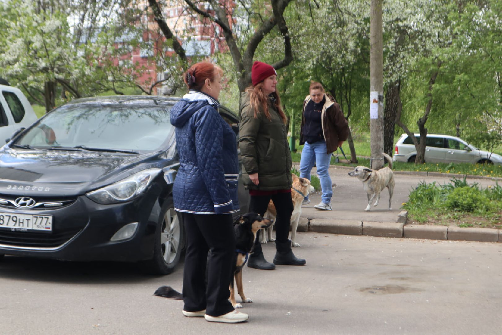 Пущино, вакцинация, бешенство