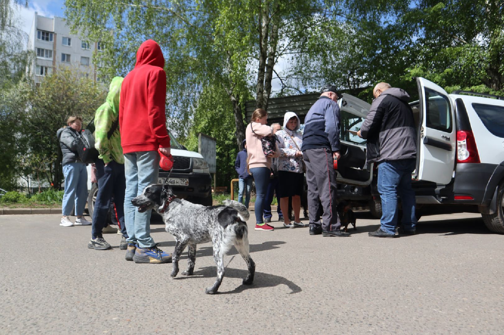 Пущино, вакцинация, бешенство