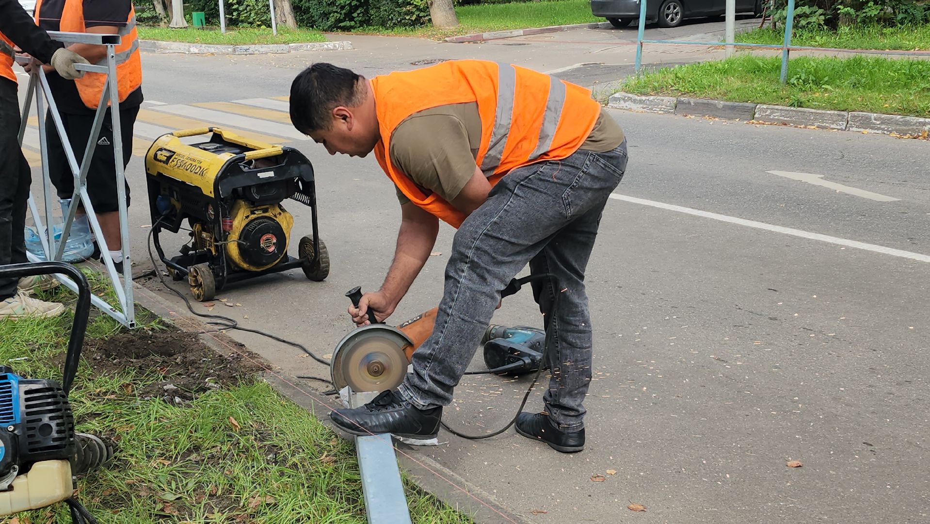 дорожные ограждения, пешеходный переход, Лобня , образовательные учреждения,