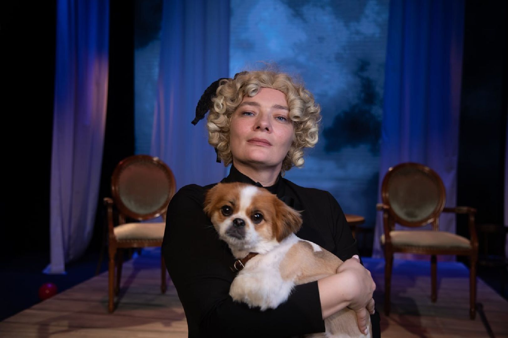 щёлково, Хвостатый актер, Собака-актер, Собака на сцене,