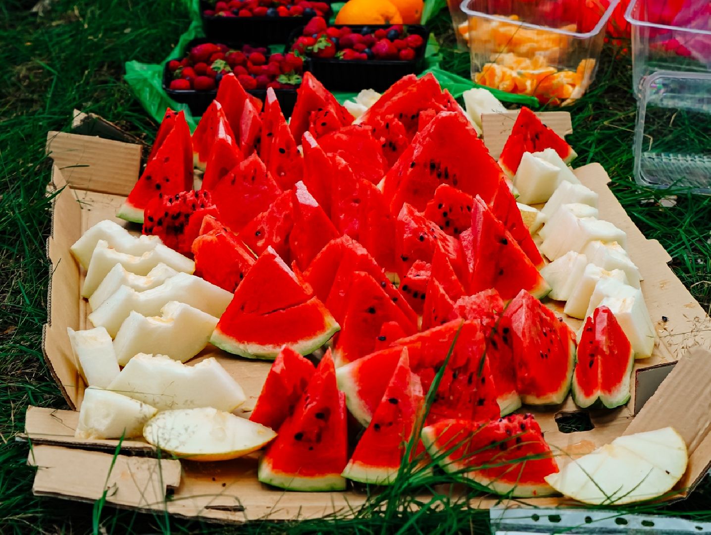 спорт, лазертаг, лыткарино, fight family, волкуша,