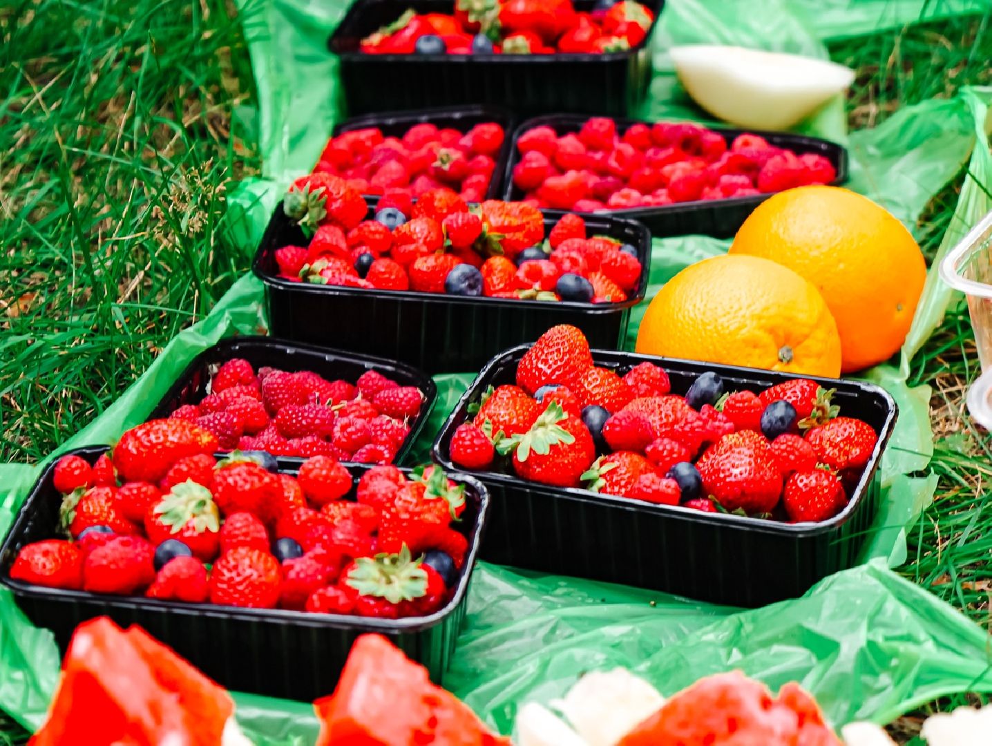 спорт, лазертаг, лыткарино, fight family, волкуша,