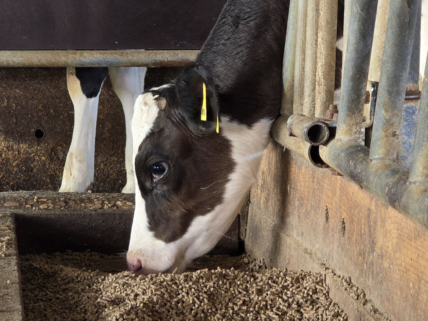 Коломна, Озеры, агрохолдинг,