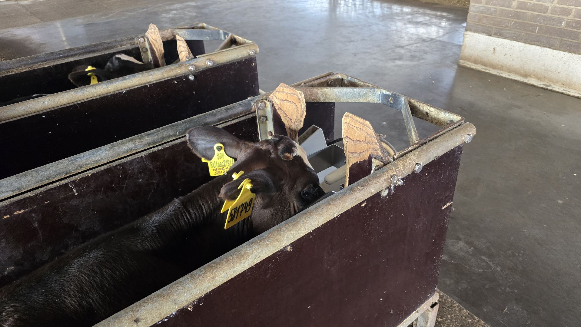 Коломна, Озеры, агрохолдинг,