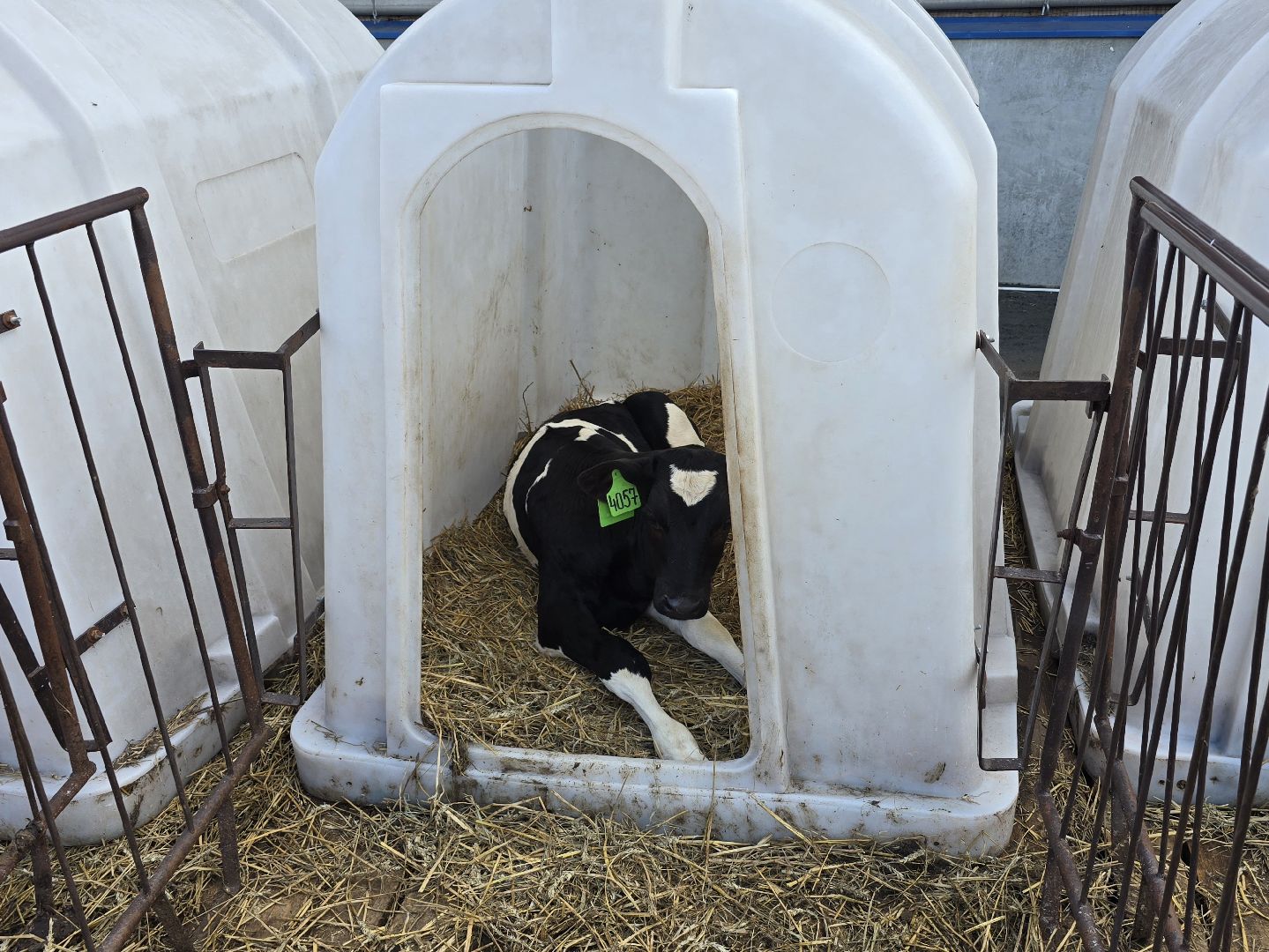 Коломна, Озеры, агрохолдинг,