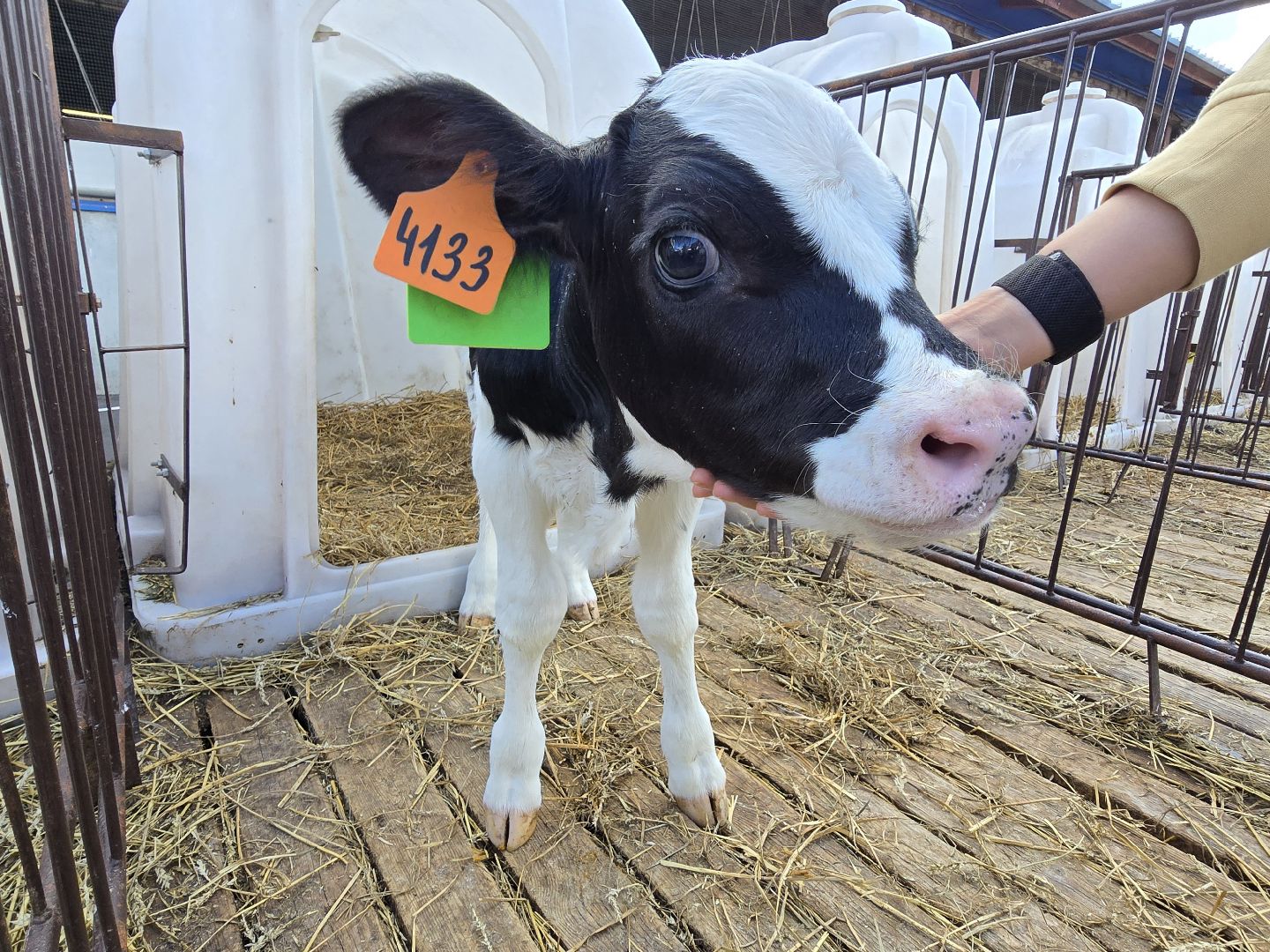 Коломна, Озеры, агрохолдинг,