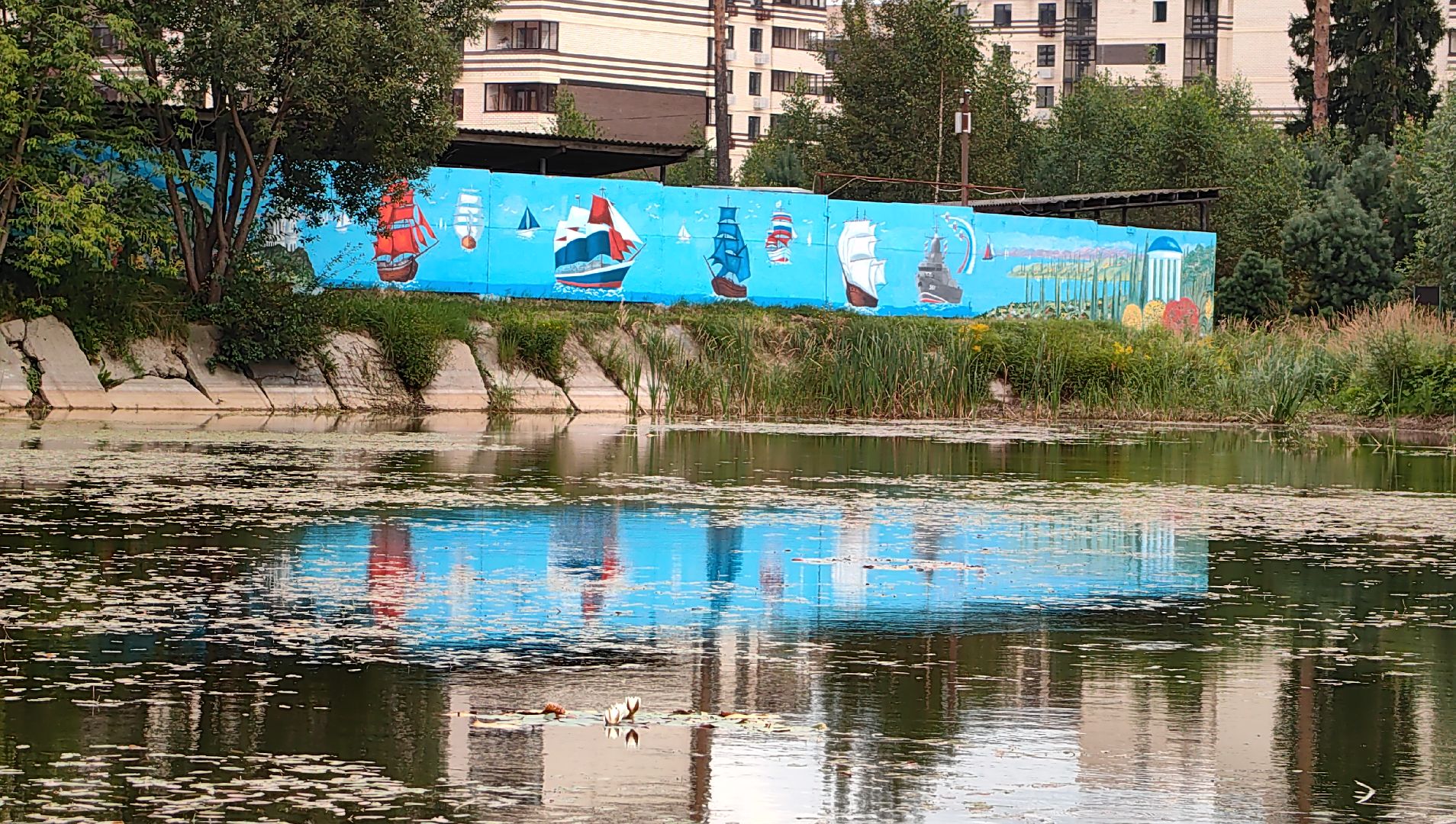 карп, пруд, водоем, активист, дом для уток, кувшинка,