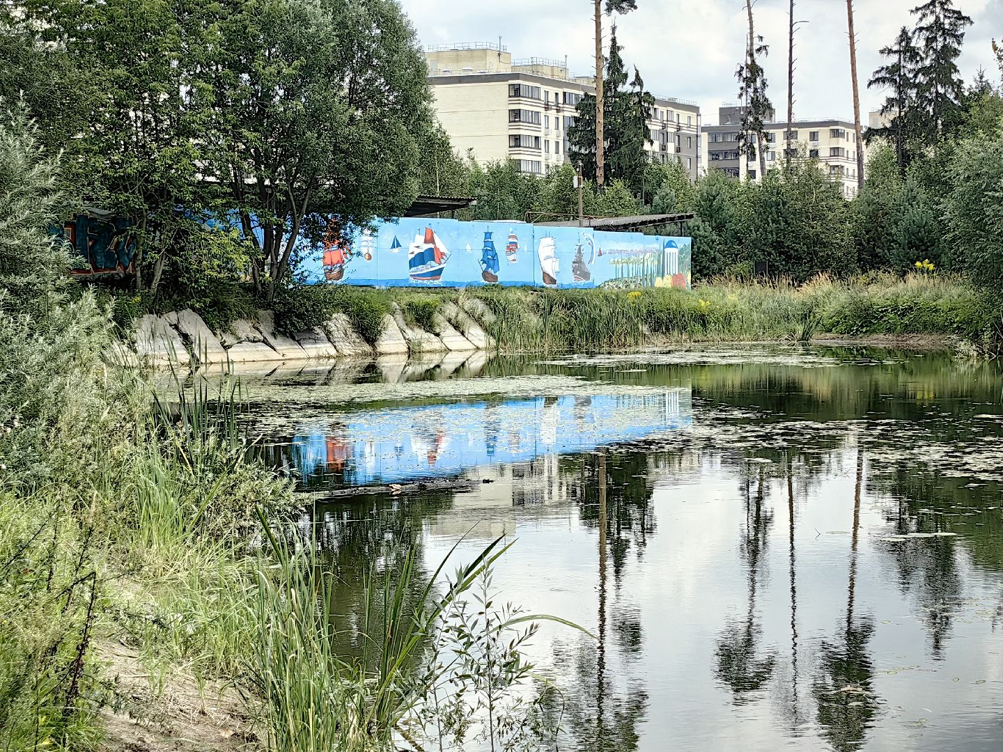 карп, пруд, водоем, активист, дом для уток, кувшинка,