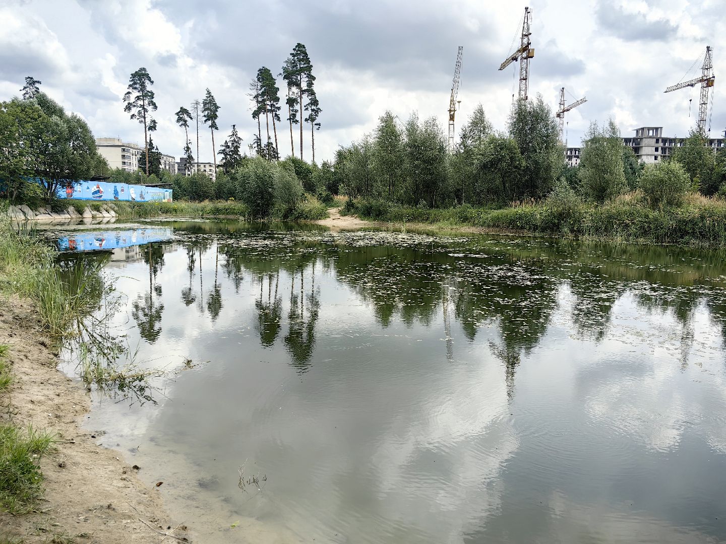 карп, пруд, водоем, активист, дом для уток, кувшинка,